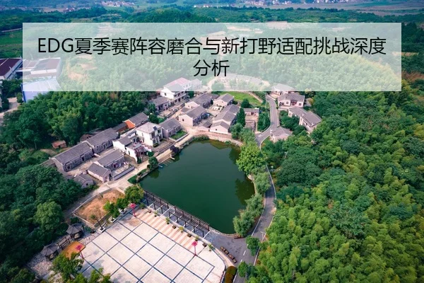 EDG夏季赛阵容磨合与新打野适配挑战深度分析