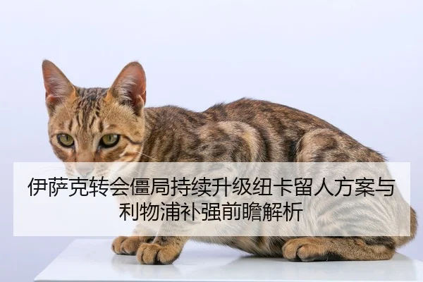 伊萨克转会僵局持续升级纽卡留人方案与利物浦补强前瞻解析